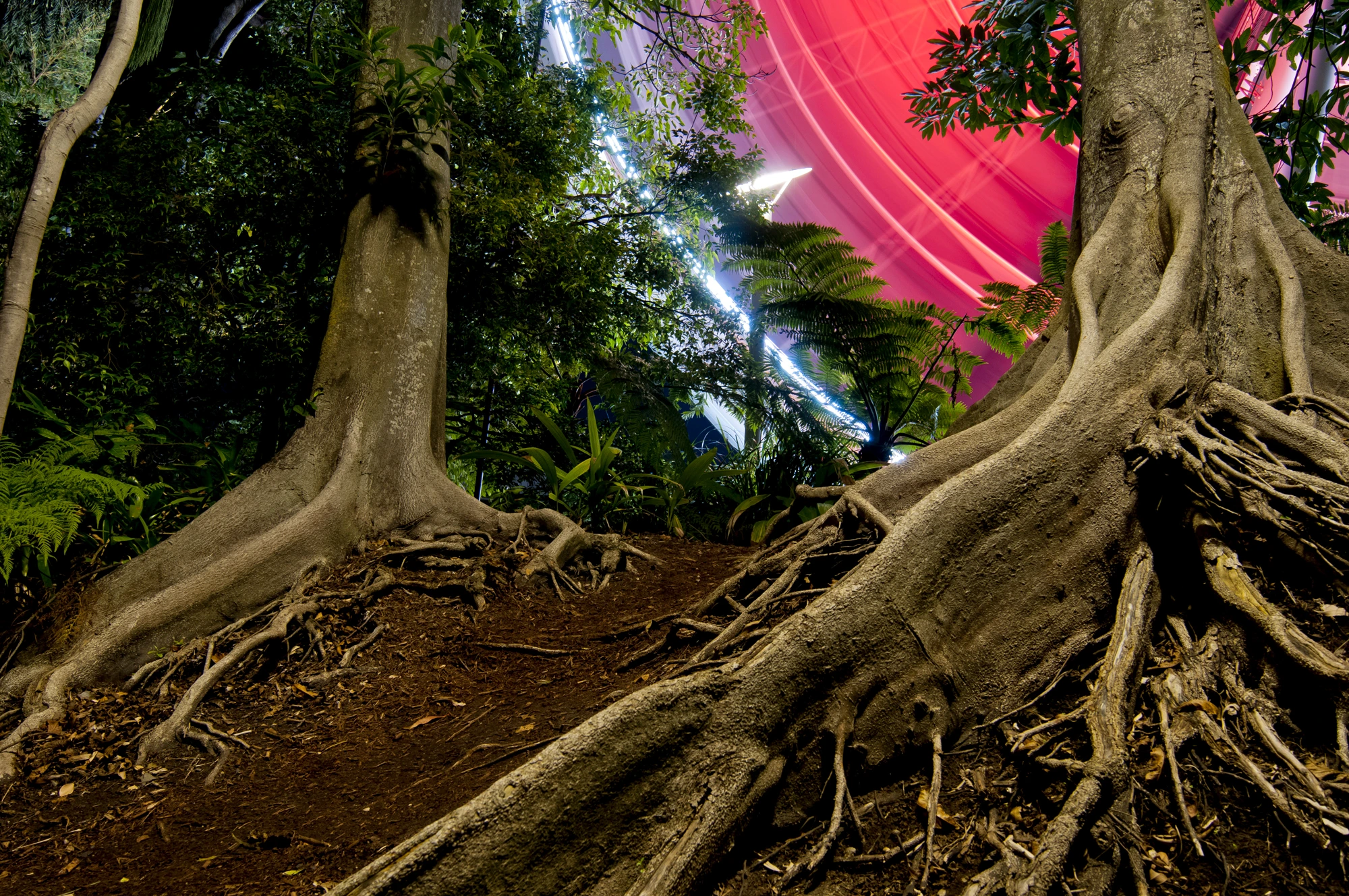 Day and Night photography course Brisbane