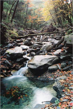Photography Tips for Beginners - Filters